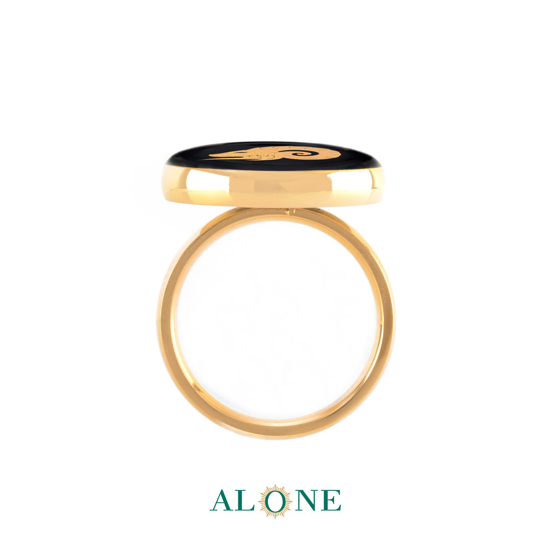 ARIES RING